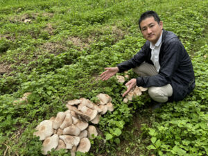 キングアガリクス