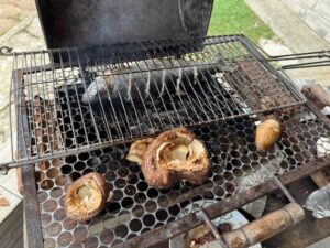 キングアガリクス