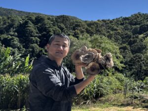 キングアガリクス